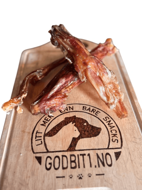 Hovedbilde Akillessene Hest