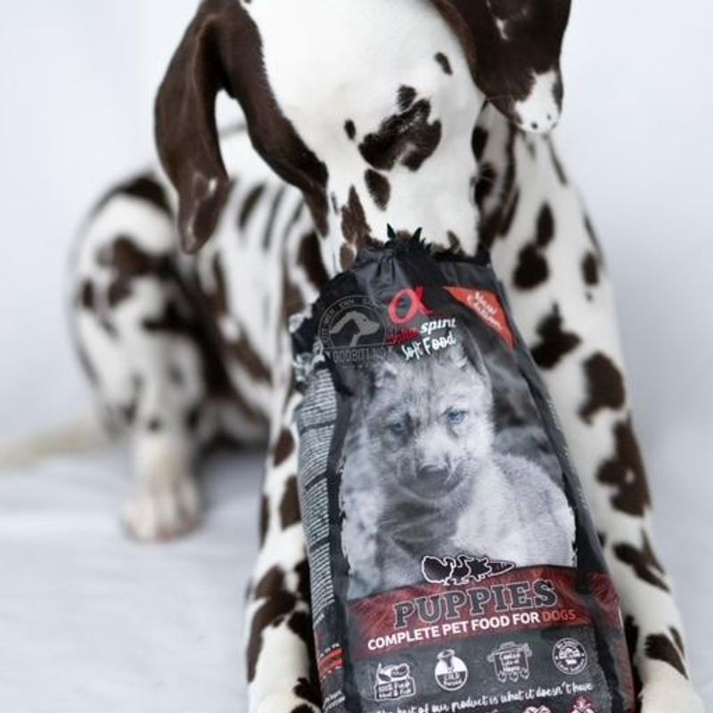 AlphaSpirit Puppies 1,5kg