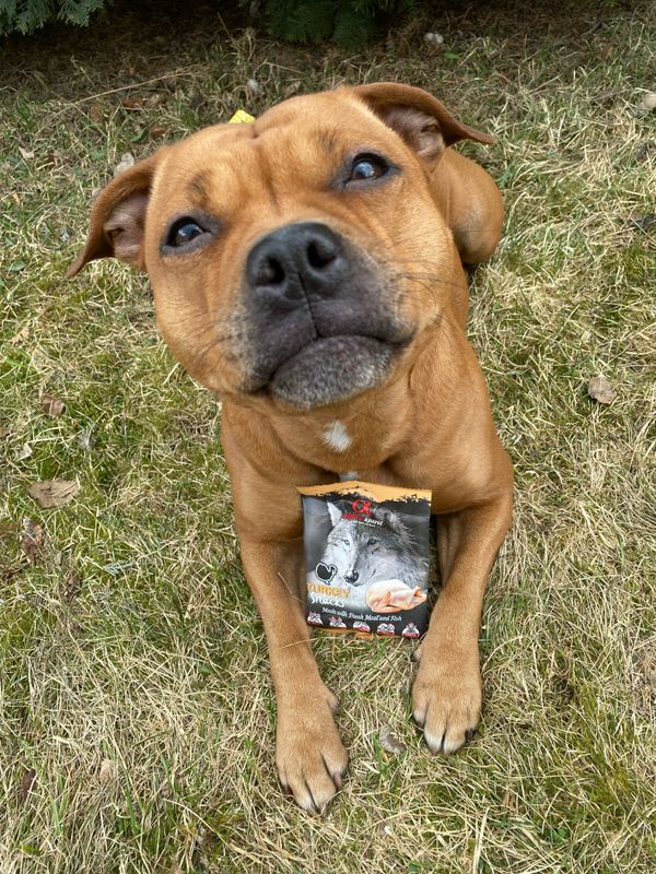 AlphaSpirit Turkey Snack 50g