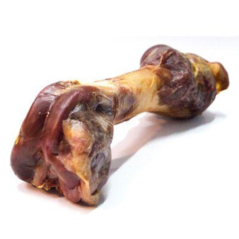 AlphaSpirit Ham Bone