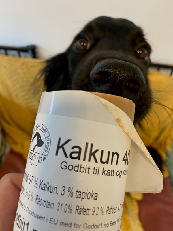 Godbitpølse - Kalkun