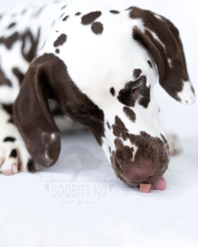 Godbitpølse - Kylling