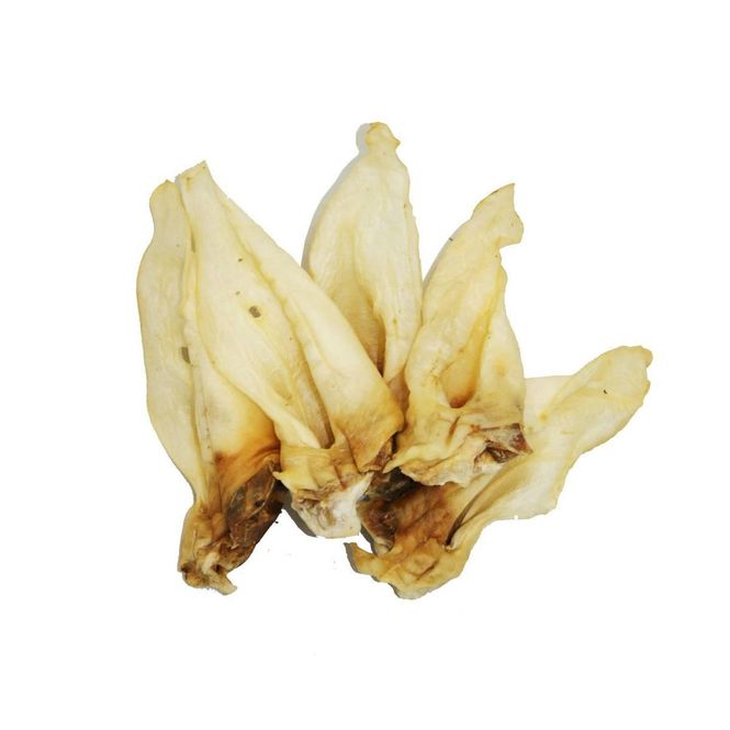 Hovedbilde Hjorteører