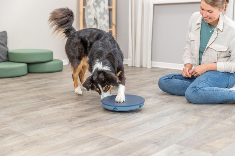 Trixie Dog Activity Rocking Maze