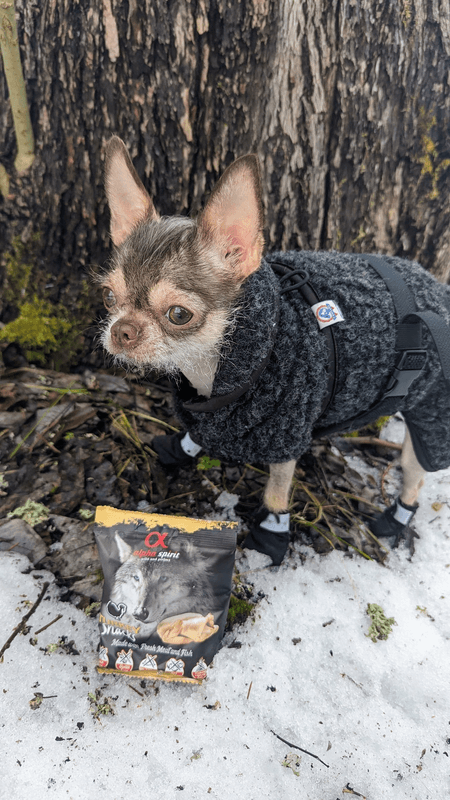 AlphaSpirit Turkey Snack 50g