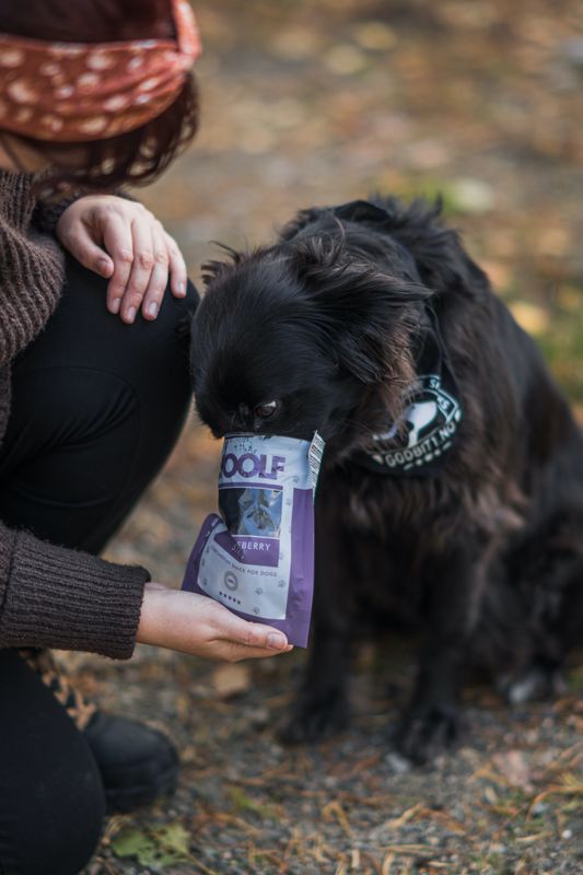 Woolf - soft blueberry strips 100g
