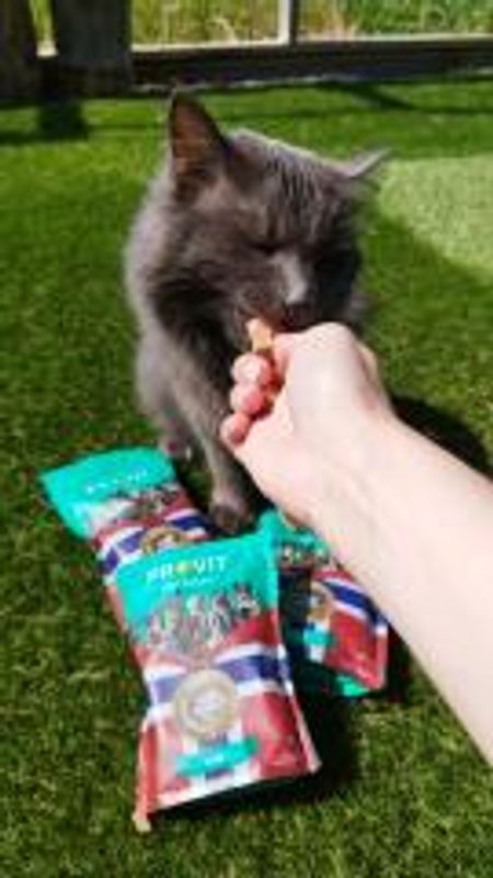 Provit Frysetørket Sei Katt 30g