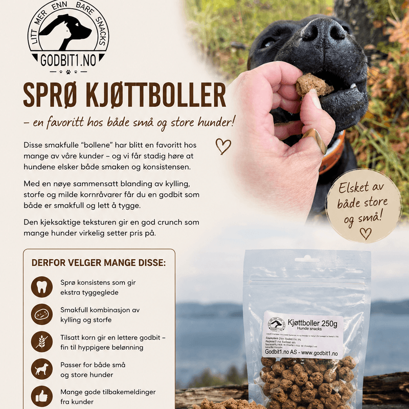 Kjøttboller